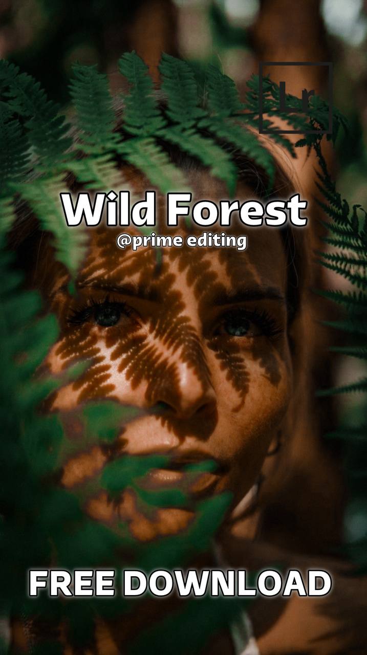 Wild Forest