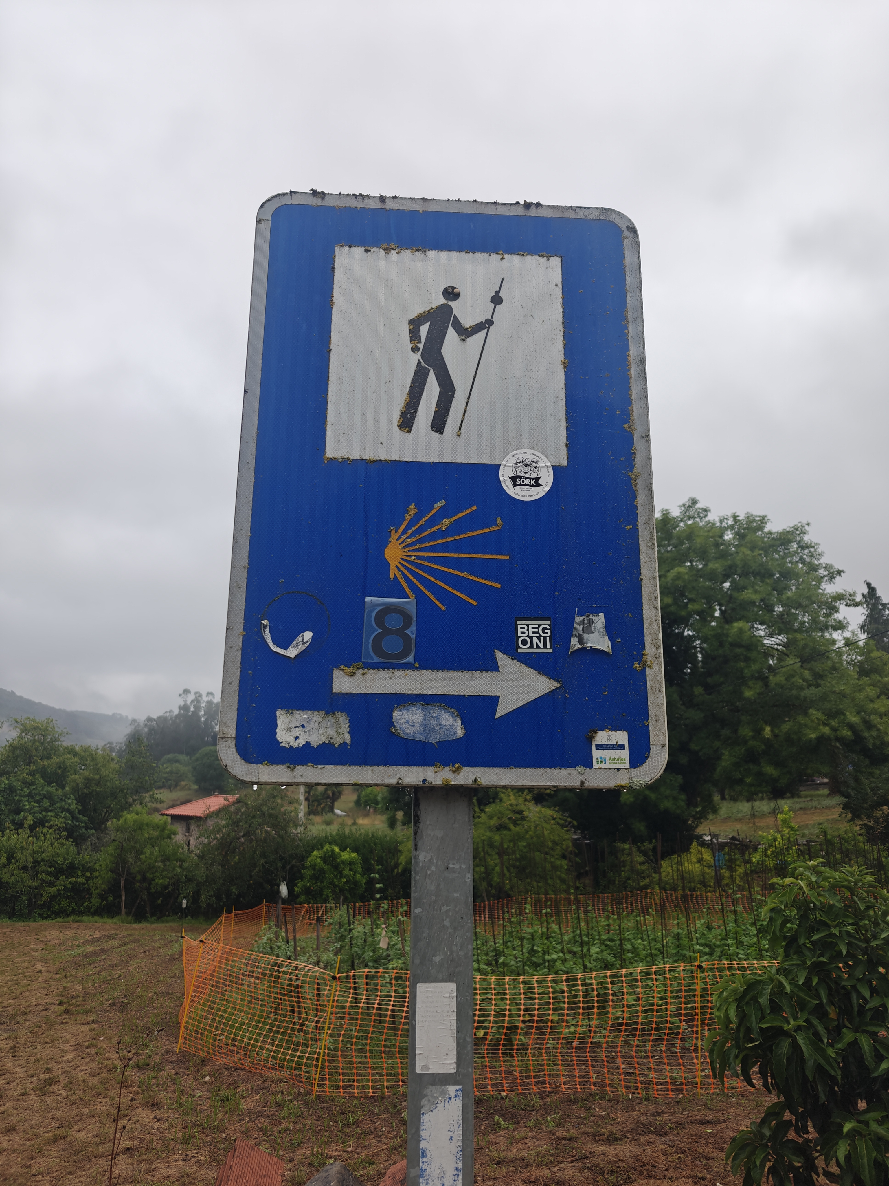 Dag 21 - San Juan de Villapañada 🥏 Bodenaya 6
