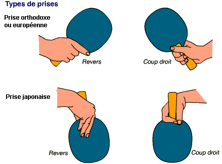 https://i.ibb.co/1YTGvWPt/prises-tt.gif