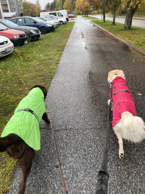 965-D3-E8-B-02-E3-4735-A52-C-C47-E20-FE1