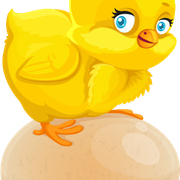 01