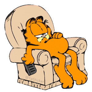 garfield 85