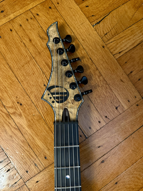 Today's Guitar of the Month - Overload Custom Shop Rea 6! | Guitar
