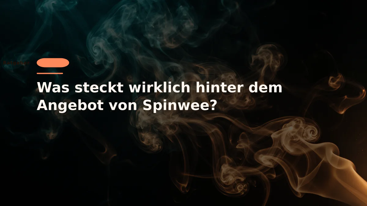 Was steckt wirklich hinter dem Angebot von Spinwee?