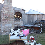 IMG-6284