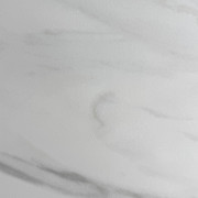 SNW-logo