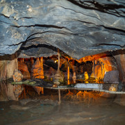 L1013491