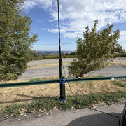IMG 3279