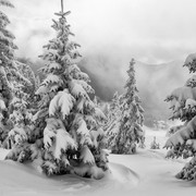 touch-the-snow
