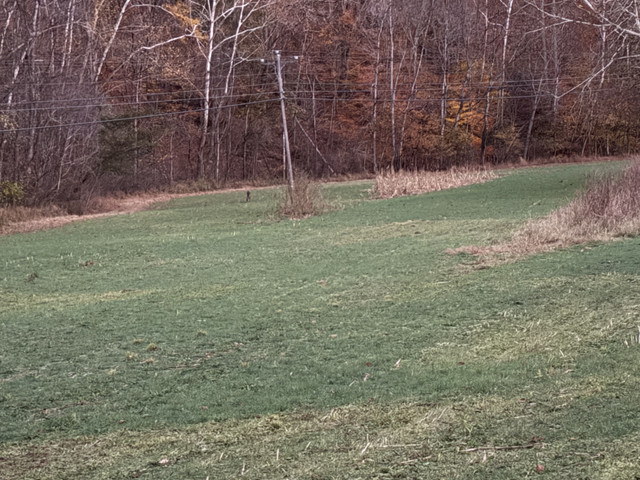 IMG-8066