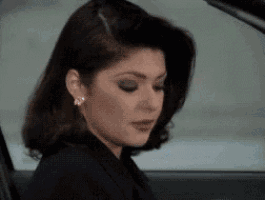 window-car.gif