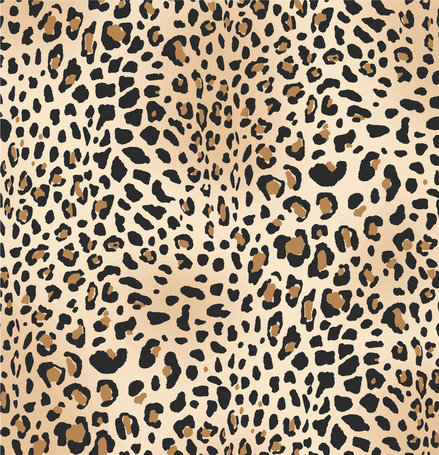 shutterstock 1719776053.jpg
