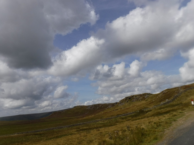 DSCF0206.jpg