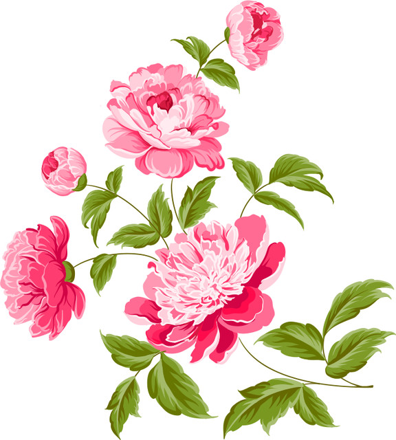 shutterstock 209393392 Converted.jpg