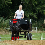 DSC05099