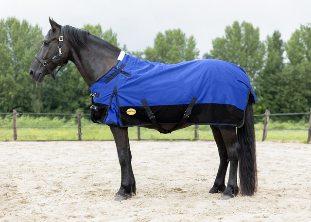 Royal Blue Turnout Blanket