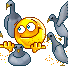 animal004