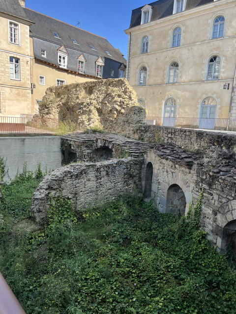 IMG-5446