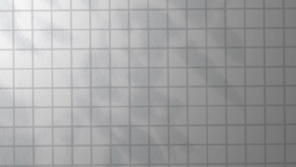 Main-Animation-1