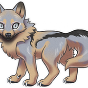 Wolvden-Adopt-Aaka-small