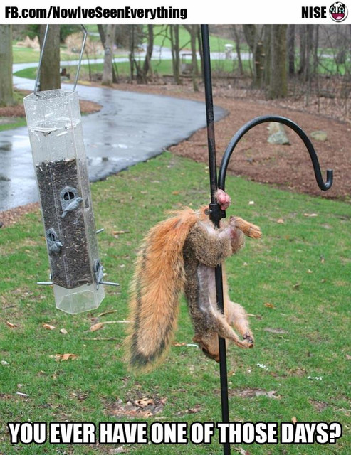 Bad-Day