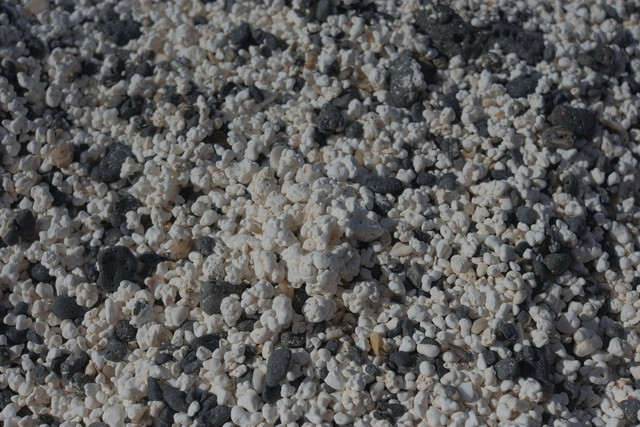 DSCF8281
