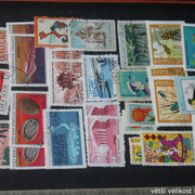 IMG-3795