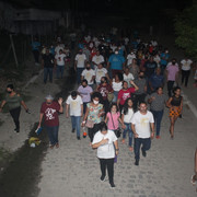 IMG-1294