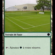 Court en gazon