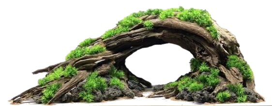 transparent.png
