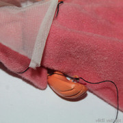 IMG-8433