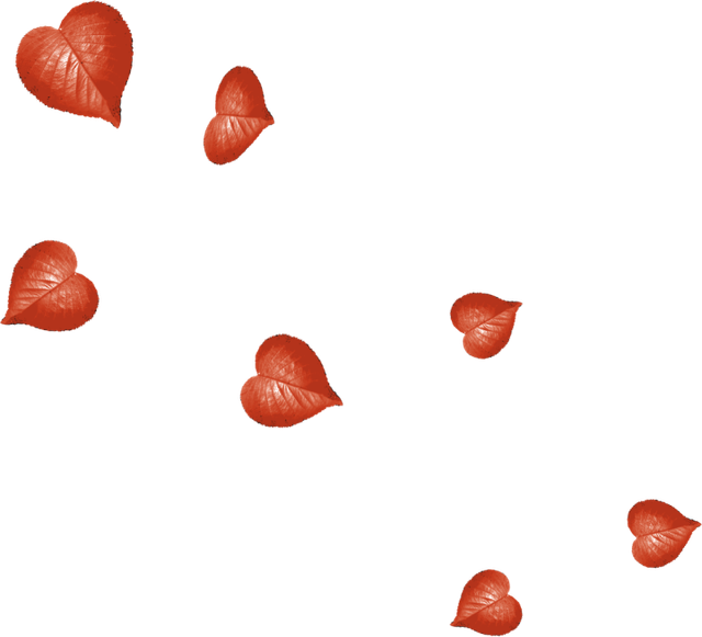 Leaves24
