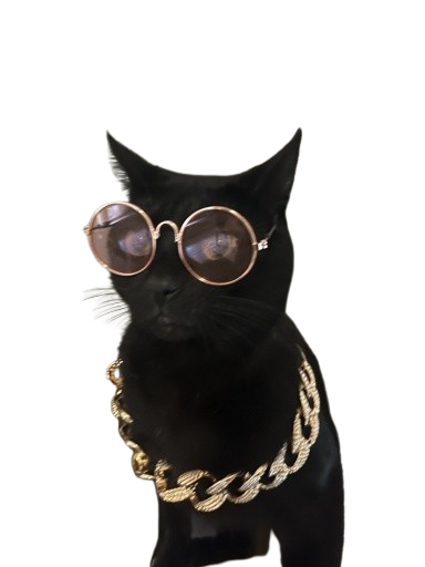 2589-removebg-preview.png