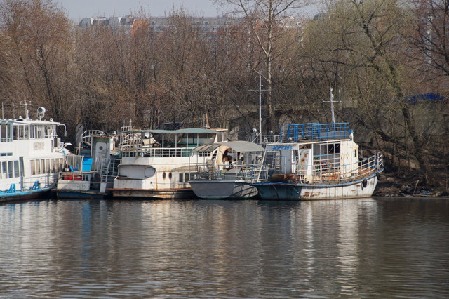 DSC03562.jpg