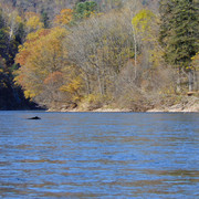 DSC04191