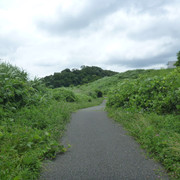 P1320395