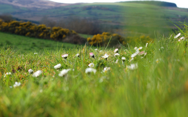 spring-057