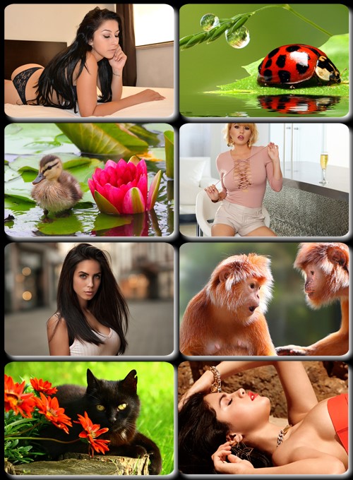 Best Mix Wallpapers 267