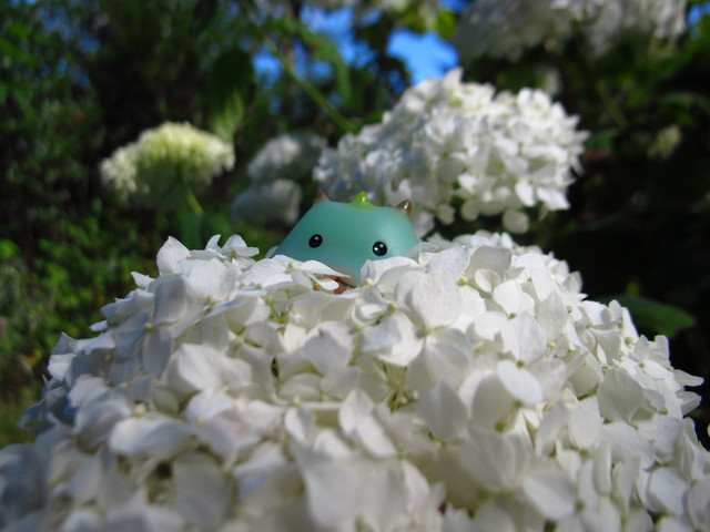 IMG 0033.jpg