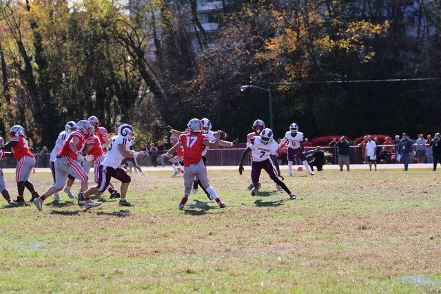 IMG-1168.jpg