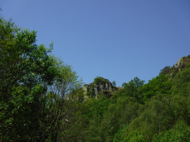 DSCF7883