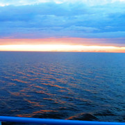 IMG-0602
