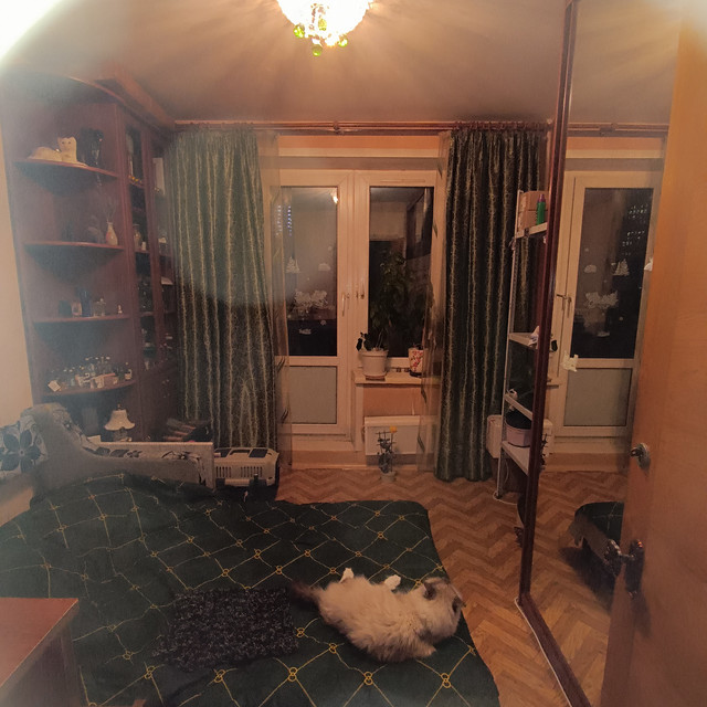 IMG 20260716 003248