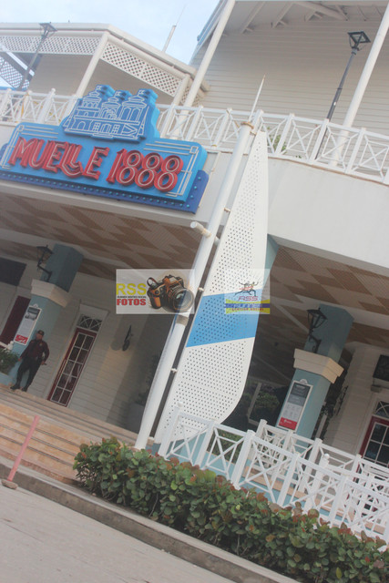 IMG-6777.jpg