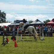 DSC05426