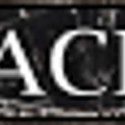 Szlachta