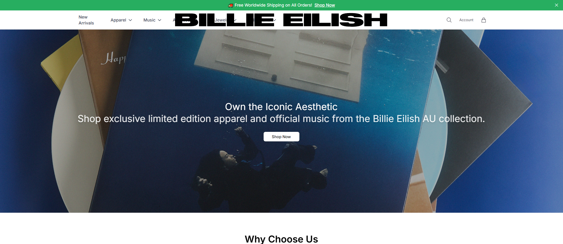 Основной снимок · billieeilishdustore.shop