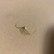 IMG-9710