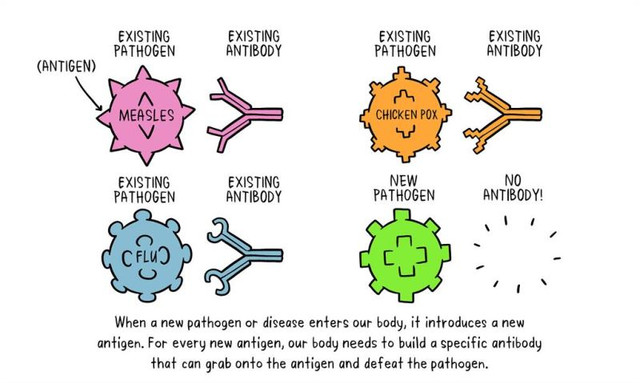 ANTIGEN