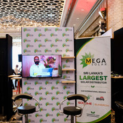 IMG 8638